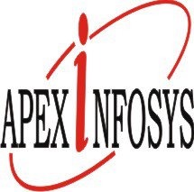 Apex Infosys logo